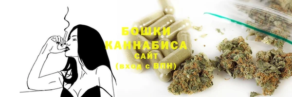 стаф Снежинск