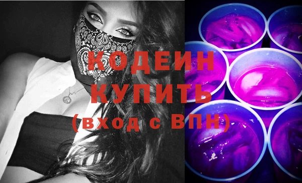 индика Беломорск