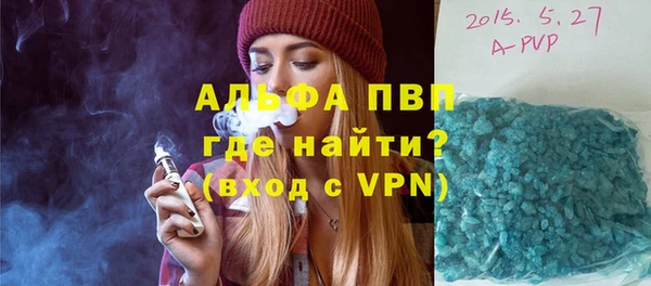 индика Беломорск