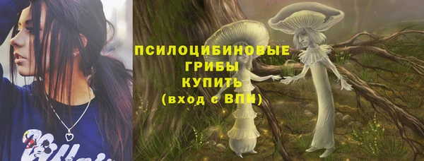 индика Беломорск