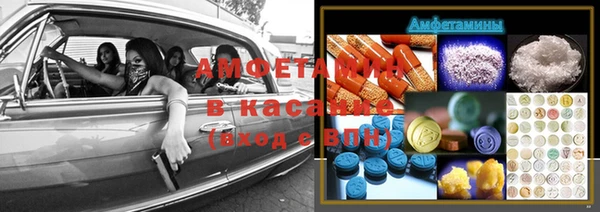 индика Беломорск