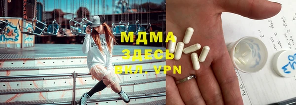 индика Беломорск