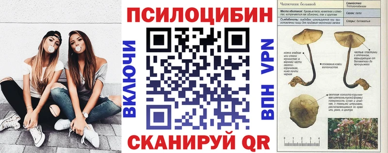Псилоцибиновые грибы MAGIC MUSHROOMS  omg зеркало  Губкинский 